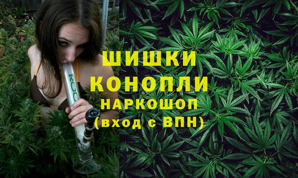 СК Грязовец
