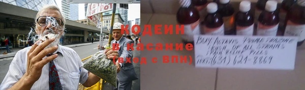 стаф Няндома