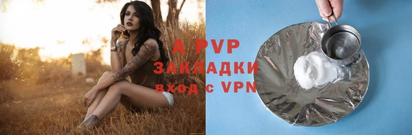 стаф Няндома