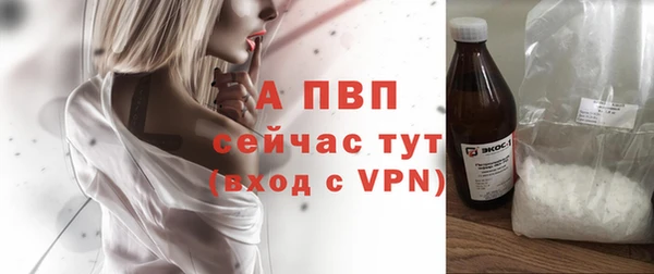 стаф Няндома