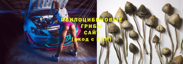 меф Нязепетровск
