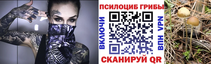 Псилоцибиновые грибы мухоморы  Красновишерск 